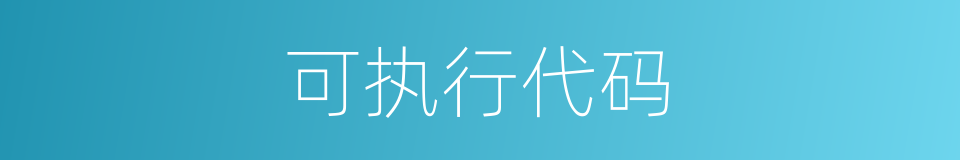 可执行代码的同义词