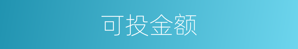 可投金额的同义词