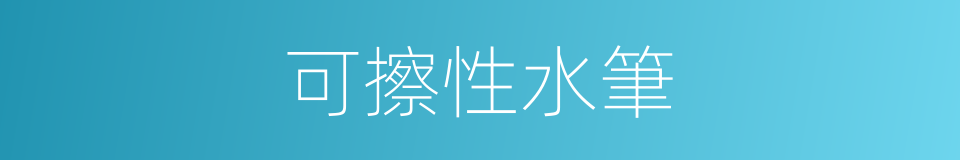 可擦性水筆的同義詞
