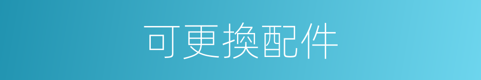 可更換配件的同義詞