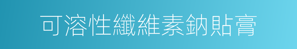 可溶性纖維素鈉貼膏的同義詞