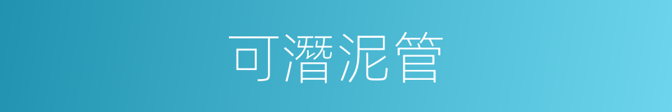 可潛泥管的同義詞