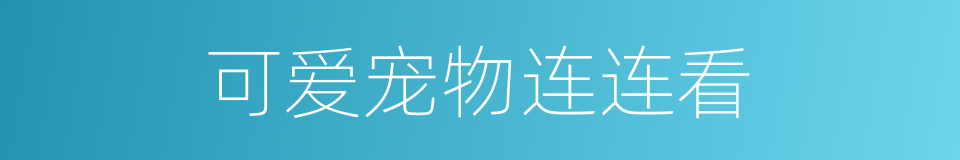 可爱宠物连连看的同义词