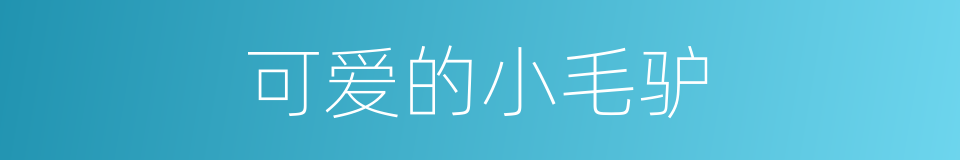 可爱的小毛驴的同义词