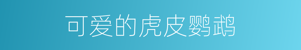 可爱的虎皮鹦鹉的同义词