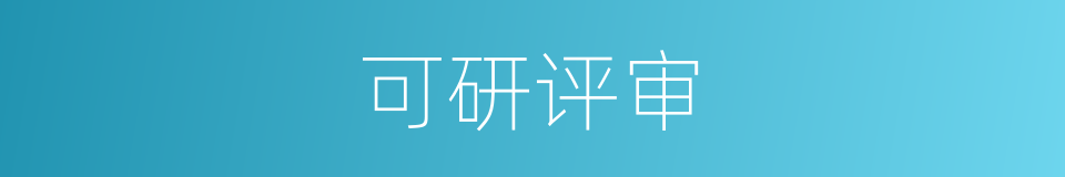 可研评审的同义词