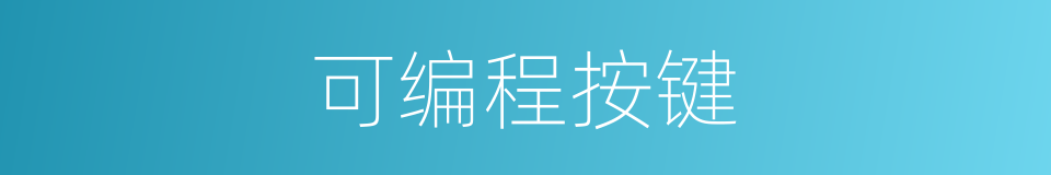 可编程按键的同义词