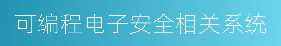 可编程电子安全相关系统的同义词