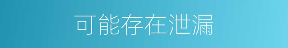 可能存在泄漏的同义词