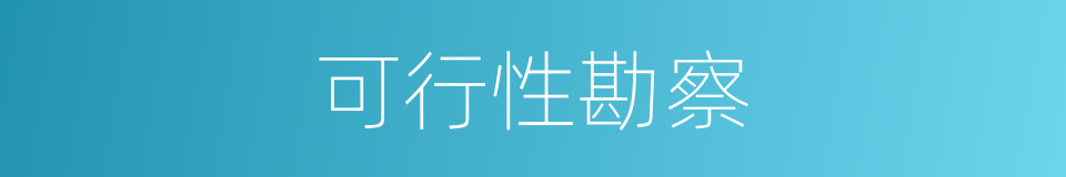 可行性勘察的同义词
