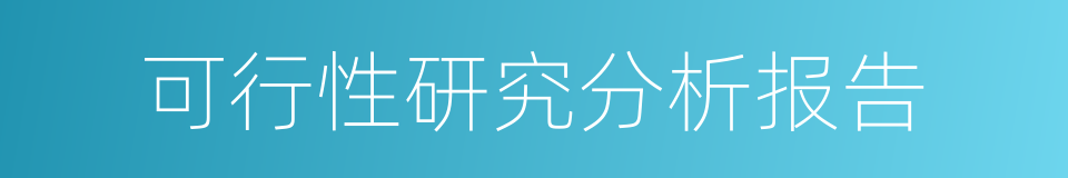 可行性研究分析报告的同义词