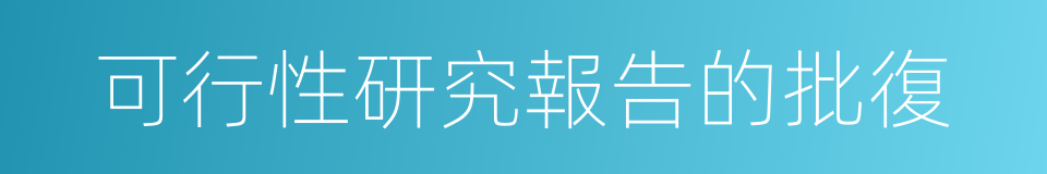 可行性研究報告的批復的同義詞