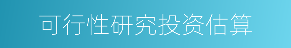 可行性研究投资估算的同义词