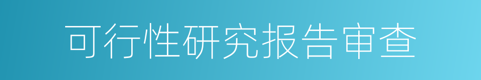 可行性研究报告审查的同义词