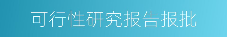 可行性研究报告报批的同义词