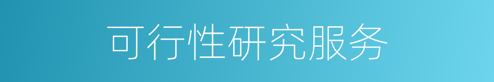 可行性研究服务的同义词
