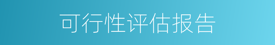可行性评估报告的同义词