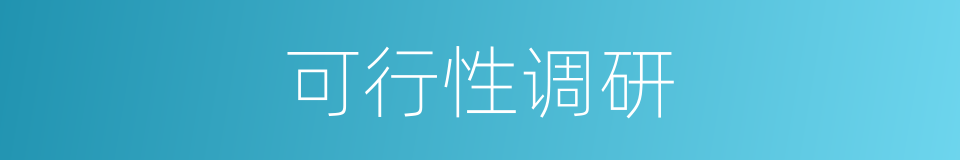 可行性调研的同义词