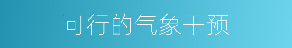 可行的气象干预的同义词