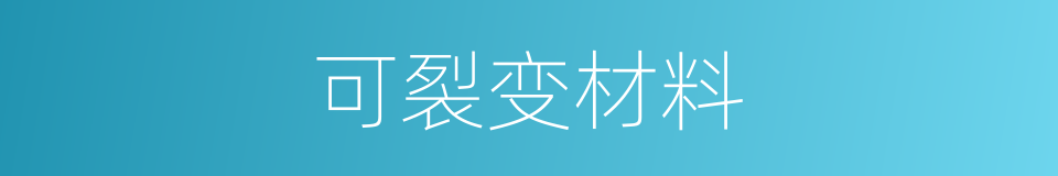 可裂变材料的同义词