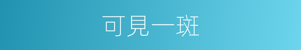 可見一斑的意思