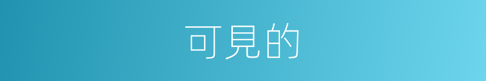 可見的的同義詞
