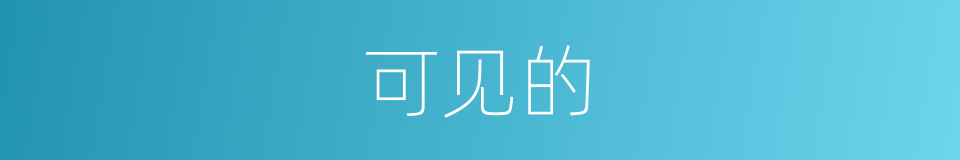 可见的的同义词