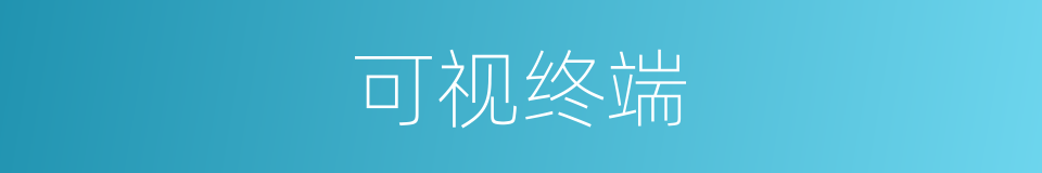 可视终端的同义词