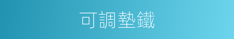 可調墊鐵的同義詞