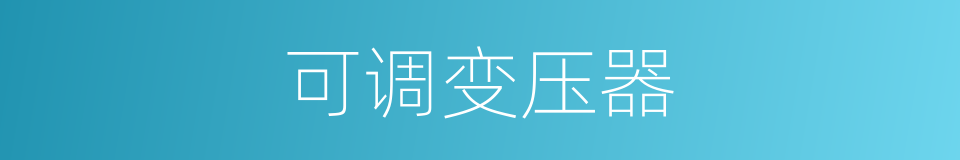 可调变压器的同义词