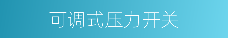 可调式压力开关的同义词