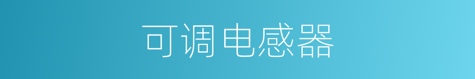 可调电感器的同义词