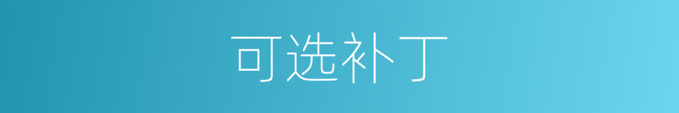 可选补丁的同义词