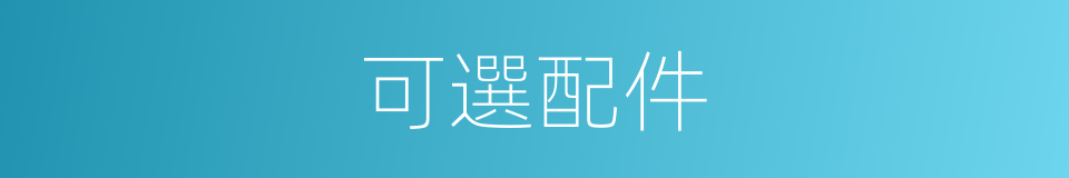 可選配件的同義詞