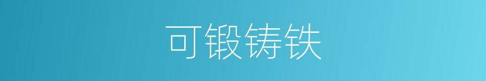 可锻铸铁的意思