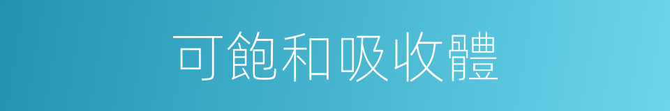 可飽和吸收體的同義詞