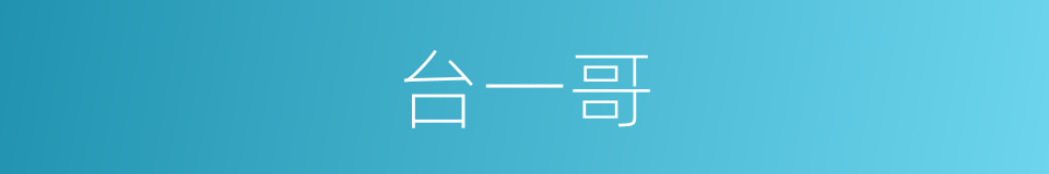 台一哥的同义词