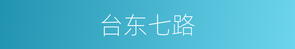 台东七路的同义词