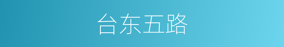 台东五路的同义词