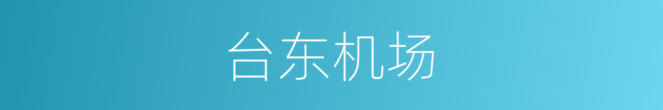 台东机场的同义词