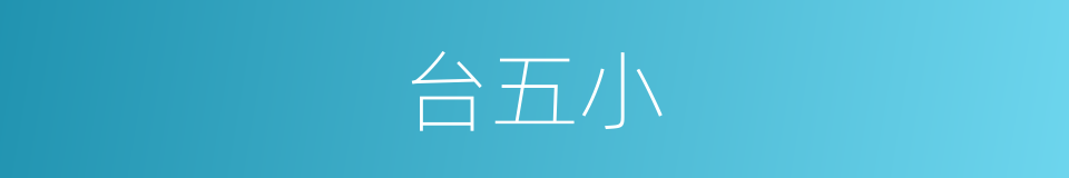 台五小的同义词