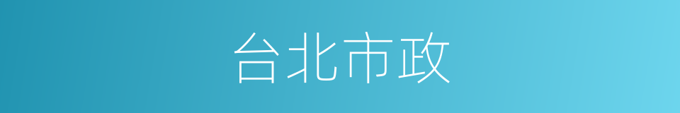 台北市政的同义词