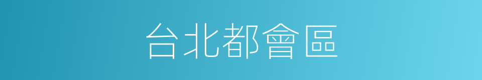 台北都會區的同義詞