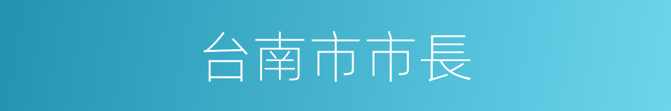 台南市市長的同義詞
