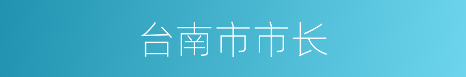 台南市市长的同义词