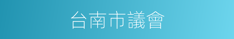 台南市議會的同義詞