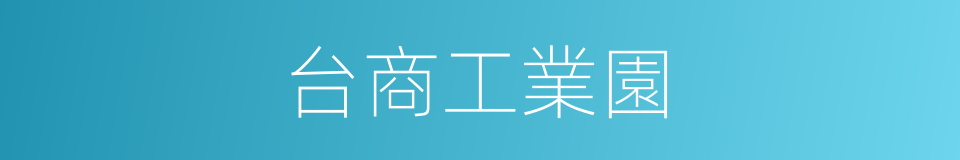 台商工業園的同義詞