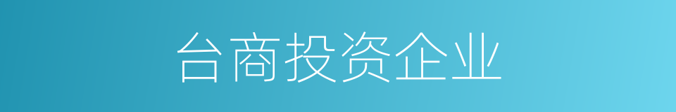 台商投资企业的同义词
