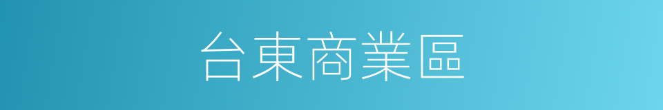 台東商業區的同義詞