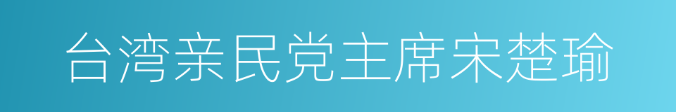 台湾亲民党主席宋楚瑜的同义词